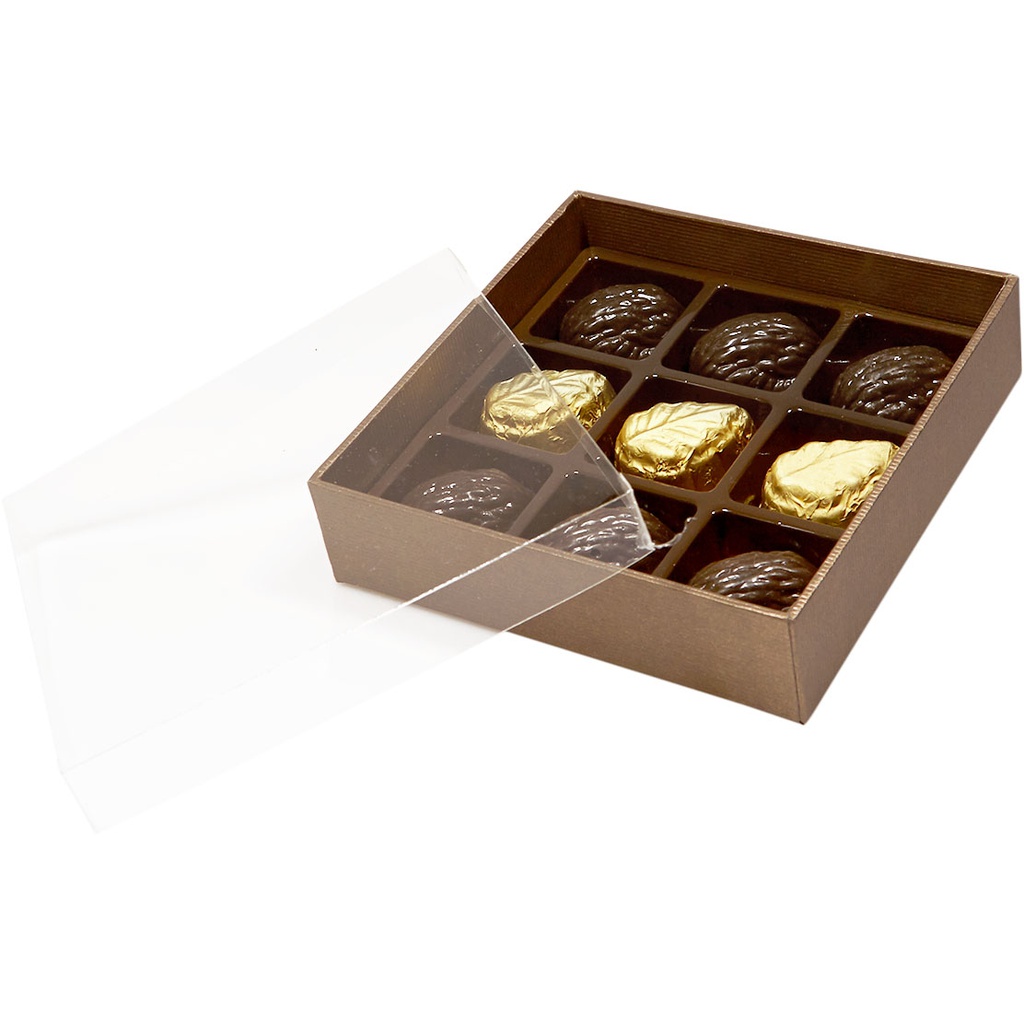 TERRA transparente 09