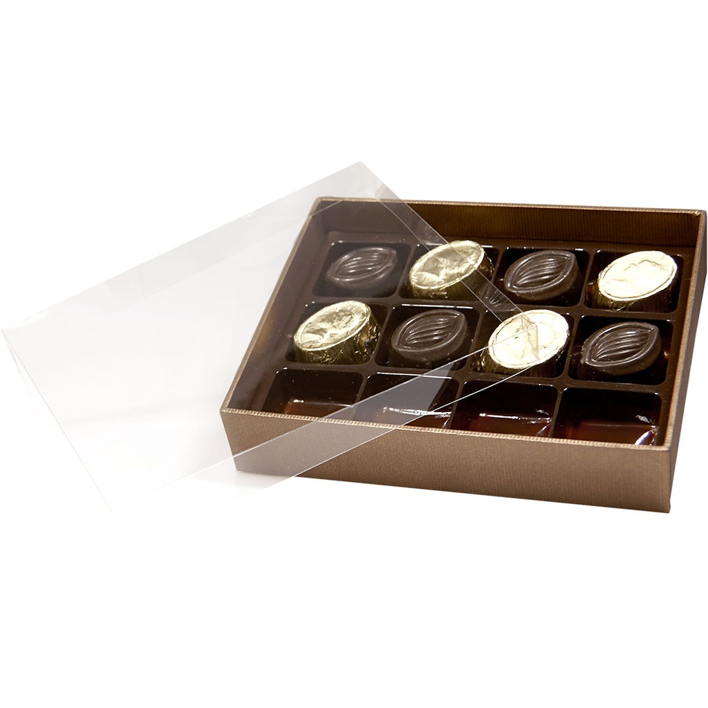 TERRA transparente 12