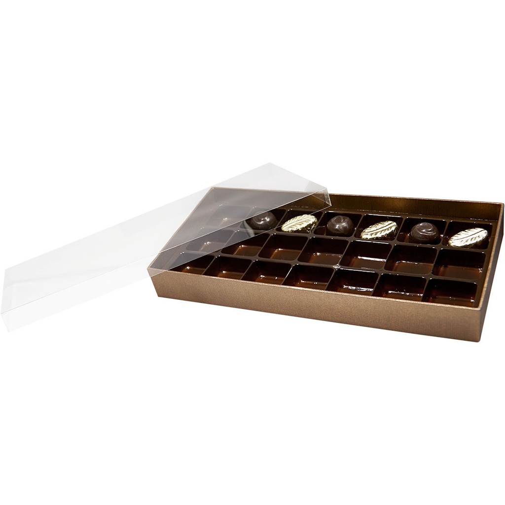 TERRA transparent 21