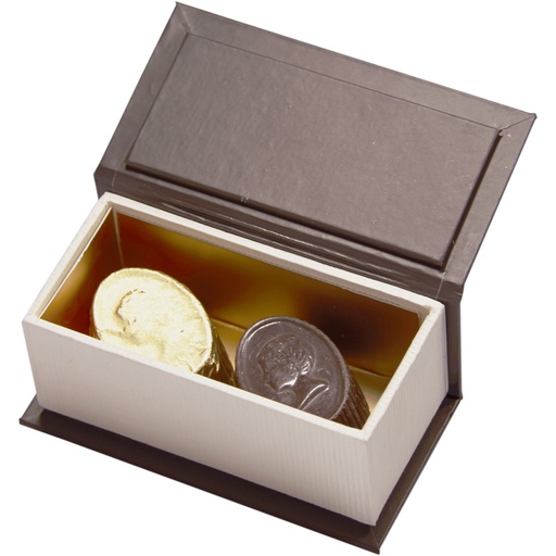 [5534*01*02*79***] PLUG - 2 chocolaatjes***