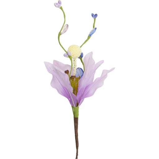 [4516*97*34*62] Iris pick1