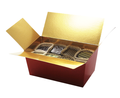 [3090*07*25*20***] BALLOTIN rot 250