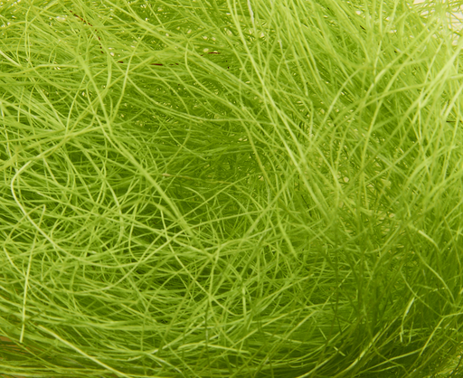 [***3426*00*01*51] SISAL 51