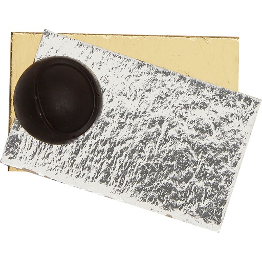 [3435*89*02*05***] GOUD/ZILVER KARTON voor tas 02