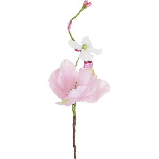 [4516*35*03*21] BIRD OF PARADISE Pick 3