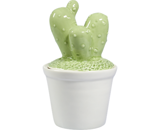 [7603*77*16*51] CACTUS pot  