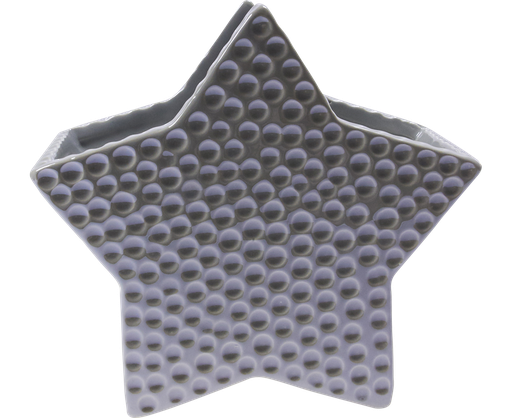 [7676*38*16*05] ATELIER Star  silver