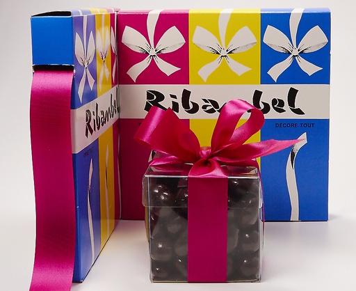 [163*25] RIBANBEL longchamp 25mm -RBL25163