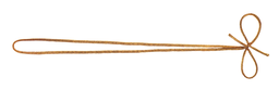 [2378*03*50*15*] ELASTIQUE or 2 coques 50