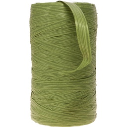 [2401*28*13*53] RAFFIA Oliva