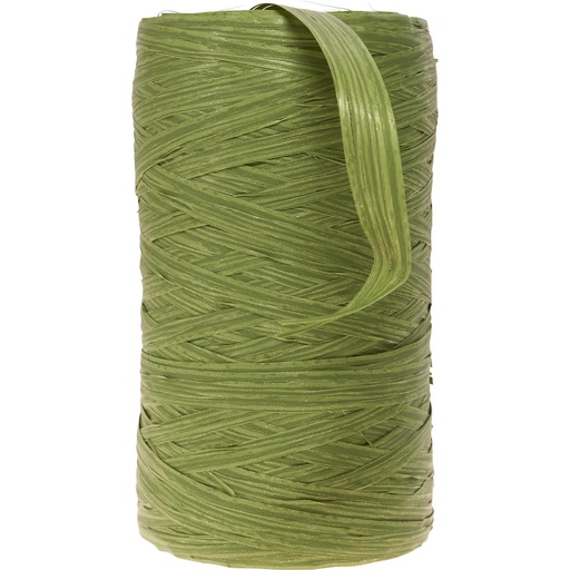 [2401*28*13*53] RAFFIA Oliva