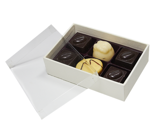 [3534*14*06*01] IVORY transparent 06 -BXT140601