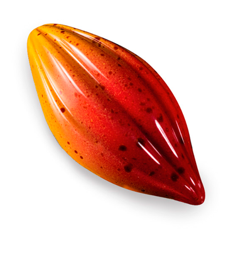 [MA*1018] GIETVORM voor pralines - cacaoboon
