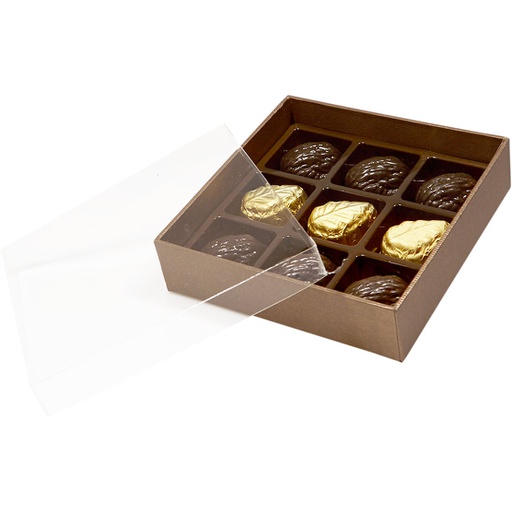 [***3534*32*09*78] TERRA transparente 09