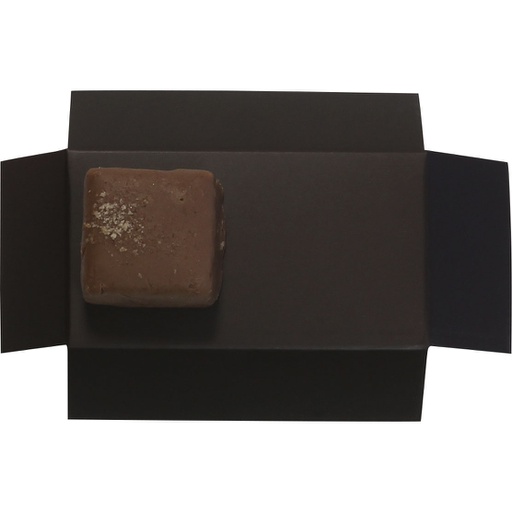 [3534*91*01+79] BASIS voor zakje 01